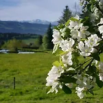 Post - Regionales Grosses Fruehstuecksbuffet - Auch Gf & Lf Scheidegg