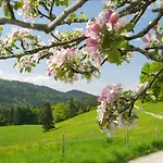 Post - Regionales Grosses Fruehstuecksbuffet - Auch Gf & Lf Scheidegg