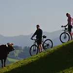 Post - Regionales Grosses Fruehstuecksbuffet - Auch Gf & Lf Hotel Scheidegg