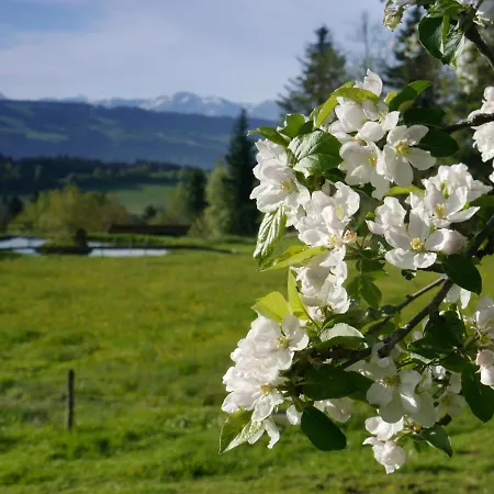 Post - Regionales Grosses Fruehstuecksbuffet - Auch Gf & Lf Scheidegg